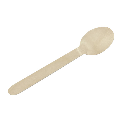 509 Eko Pak Single Spoon
