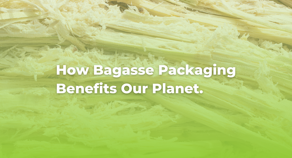How Bagasse Packaging Benefits Our Planet