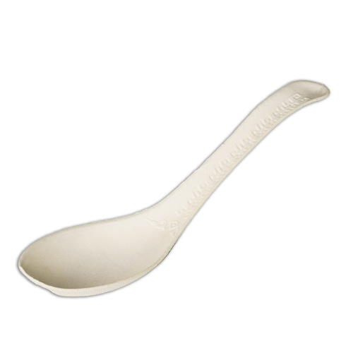Sugarcane spoon